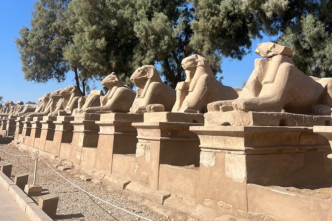 1 Day Private Tour with Hot Air Balloon from Luxor - Karnak Temple: When Columns Take Over Your Attention