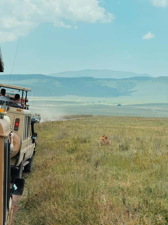 3-Day Safari to Serengeti & Ngorongoro + Balloon experience - Key highlights to look for