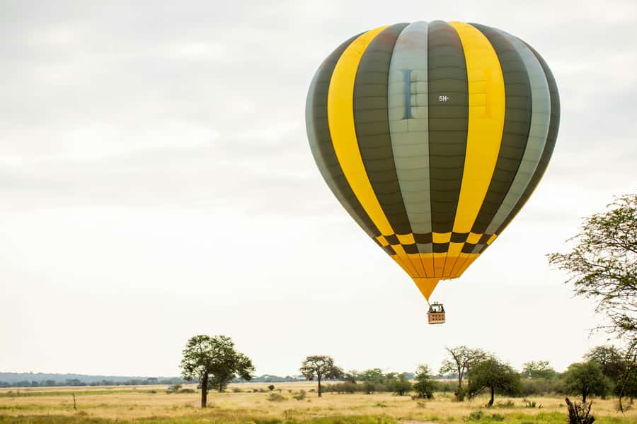 3-Day Safari to Serengeti & Ngorongoro + Balloon experience - Serengeti meets Ngorongoro in 3 fast, focused days