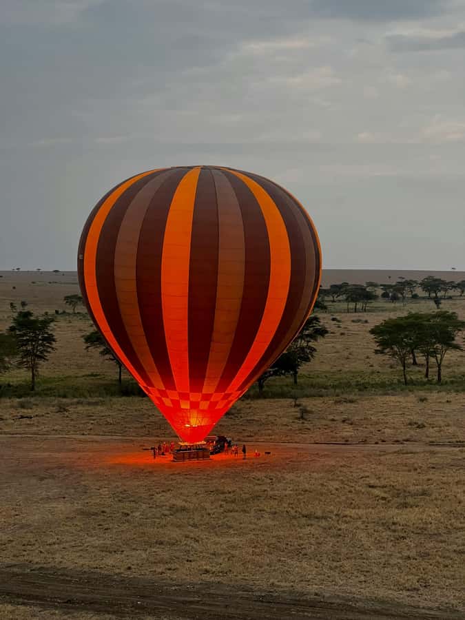 3-Day Safari to Serengeti & Ngorongoro + Balloon experience - Day 2: Sunrise balloon, champagne bush breakfast, then deeper Serengeti
