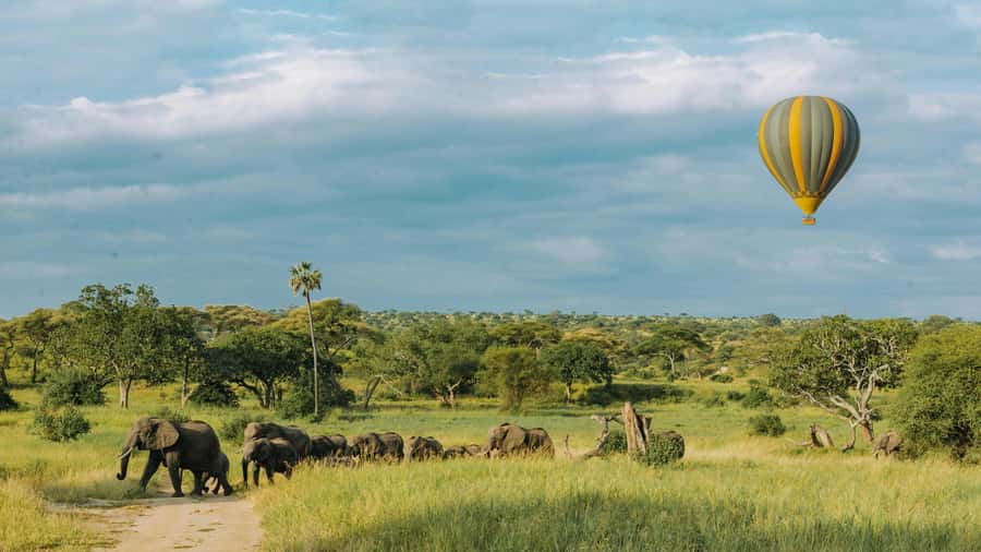 3-Day Safari to Serengeti & Ngorongoro + Balloon experience - Who this safari suits best