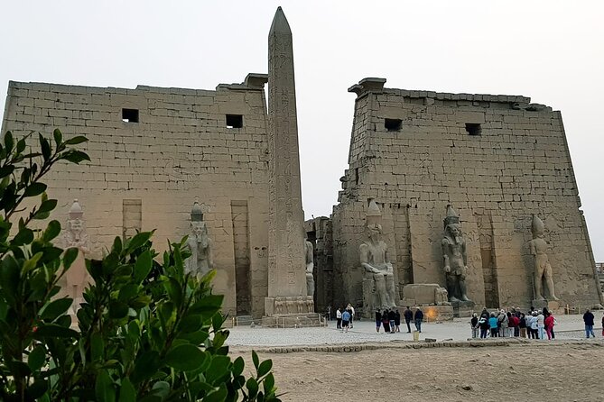 5 Days Nile Cruise From Luxor To Aswan Including Hot Air Balloon & Abu Simbel - Ship, cabins, and food: five-star comfort with practical limits