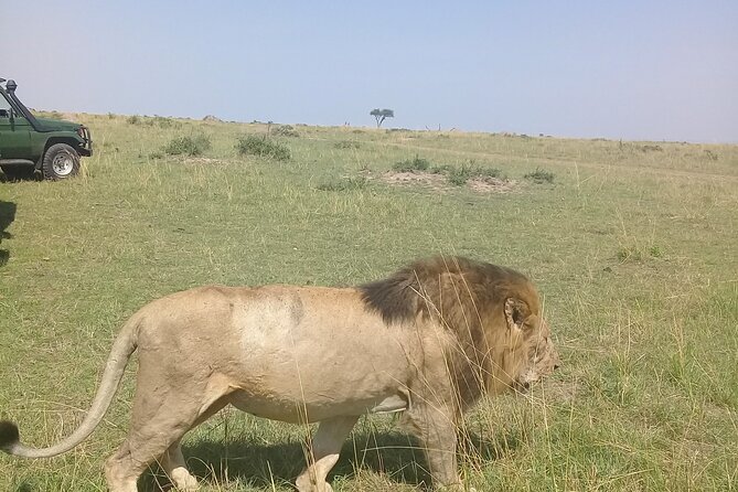 7 Day Private Jeep Safari, 5 star lodges with Balloon Ride Kenya - Price and value: what $3,654 buys you in Kenya