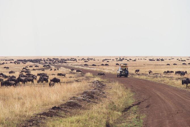 7 Day Private Jeep Safari, 5 star lodges with Balloon Ride Kenya - Day 6: A full Amboseli day with packed lunch and early returns