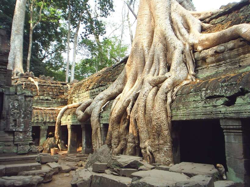 Angkor Wat: Small-Group Tour with Balloon Ride and Lunch - Angkor Thom’s South Gate: demons, gods, and a causeway of 108