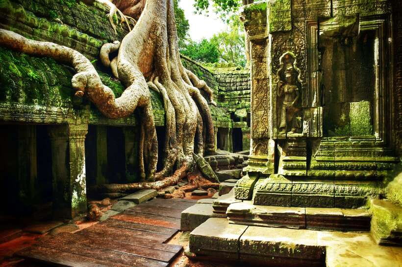 Angkor Wat: Small-Group Tour with Balloon Ride and Lunch - Ta Prohm: where tree roots look like they’re holding the roofs