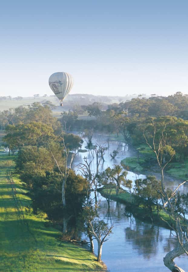 Avon Valley: Hot Air Balloon Flight - The 1-Hour Balloon Flight: 360-Degree Views Without Engine Noise