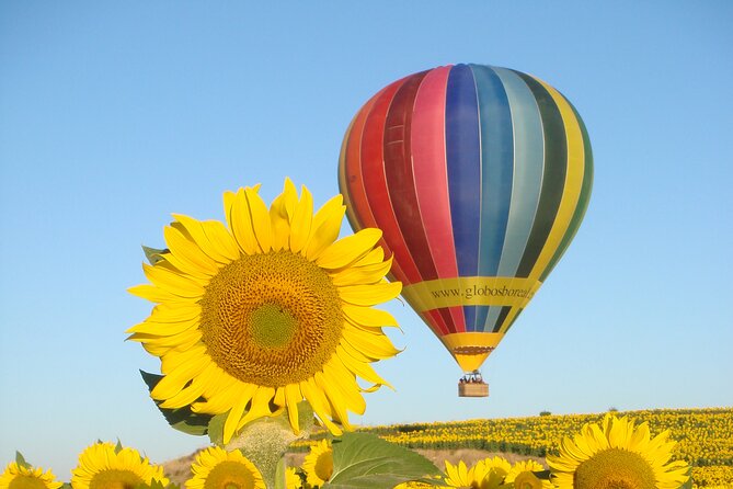 Balloon Rides in Segovia with Optional transportation from Madrid - Sunrise Ballooning in Segovia: the appeal of this early flight