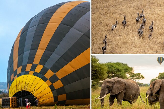 Balloon Safari & Bush Breakfast in Tarangire - Miracle Experience - Key things to know before you go