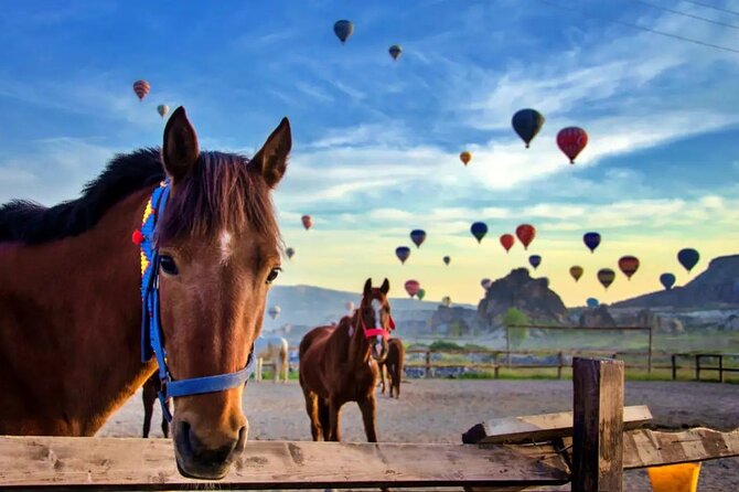 Balloon Watching Tour in Cappadocia with Hotel Pick-Up & Drop-Off - Balloon watching in Göreme: the smart way to see the sky fill in
