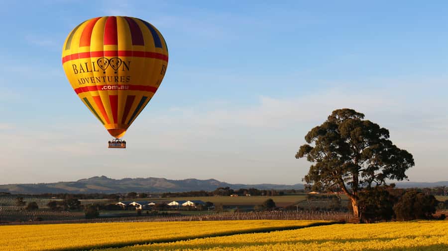 Barossa Valley: Hot Air Balloon Flight - Entering The Barossa at Daybreak From Nuriootpa