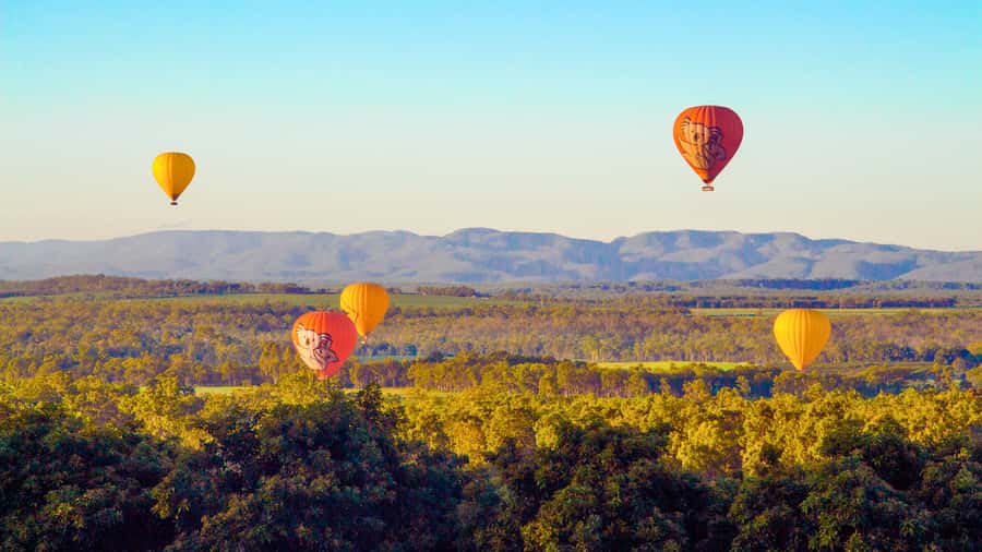 Cairns: Hot Air Balloon Flight with Transfers - Guides, professionalism, and why calm crews make the difference