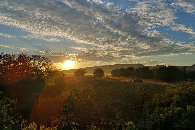 Early Morning Balloon Safari with Breakfast from Magaliesburg - Up in the Basket: Commentary, Photos, and Real Balloon Calm