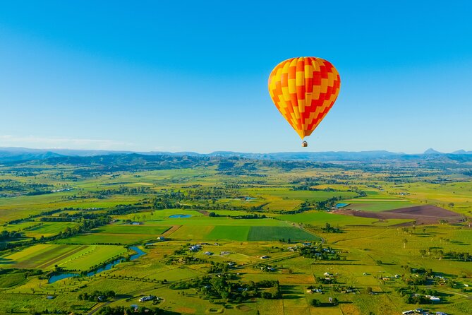 Gold Coast Hot Air Balloon + Winery Breakfast + Return Transfers - Wine Tasting and the Cellar Door Visit at O’Reilly’s