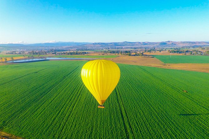 Gold Coast Hot Air Balloon + Winery Breakfast + Return Transfers - Up in the Air: Quiet, Motion, and Gold Coast Hinterland Views