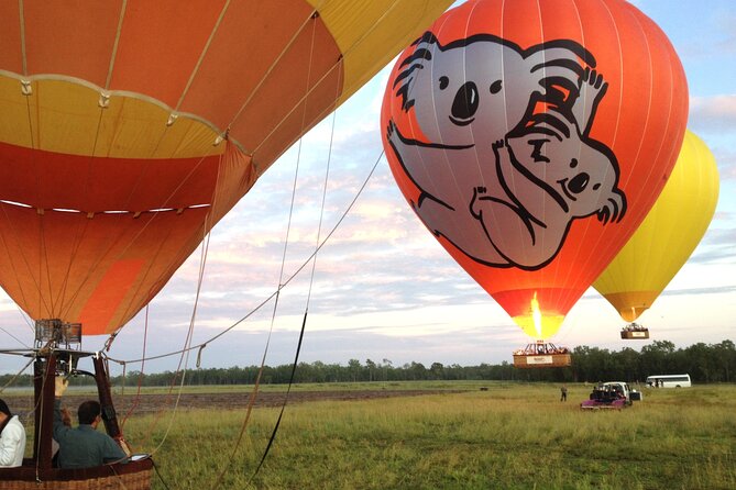 Gold Coast Hot Air Ballooning, Bubbles & Go - Landing Cheers: Bubbly Toast, Pilot-Signed Certificate, and That Final Glow