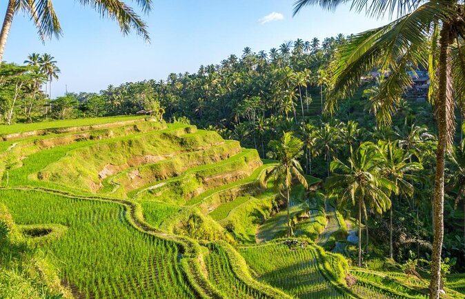 Hot Air Balloon Experience with Meals at Ubud - Key Things to Know Before You Go