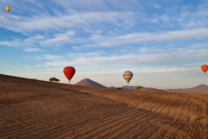 Hot air balloon flight at sunrise in Marrakech & breakfast - Price and value: what $219.83 buys you in the real world