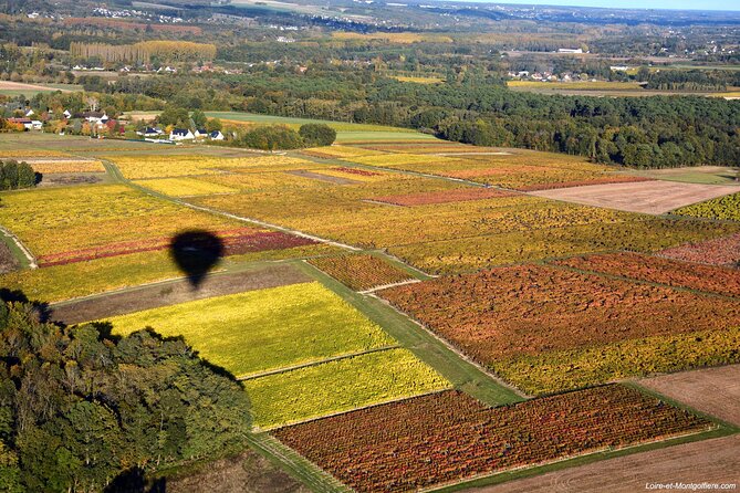 Hot Air Balloon Flight in Loire Valley - Stop Focus: Château de Chenonceau From the Air