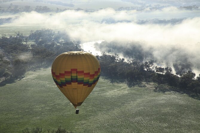 Hot Air Balloon Flight over the Avon Valley flight only - Wildlife and the slow scan: how the flight feels in the air