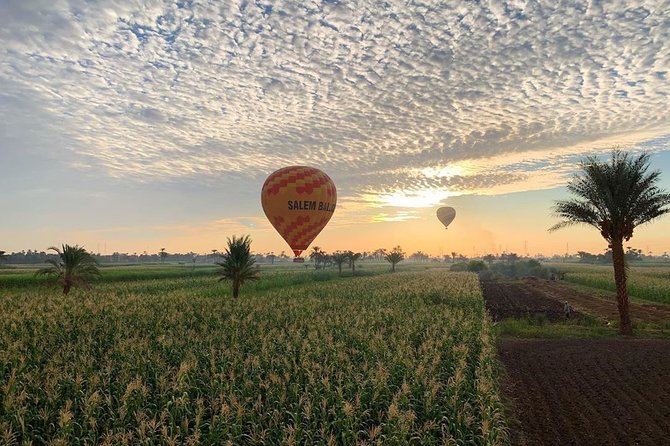 Hot Air Balloon Ride and Tour to Valley of Kings Luxor- Special Offer - What if the balloon is cancelled? The backup plan that matters