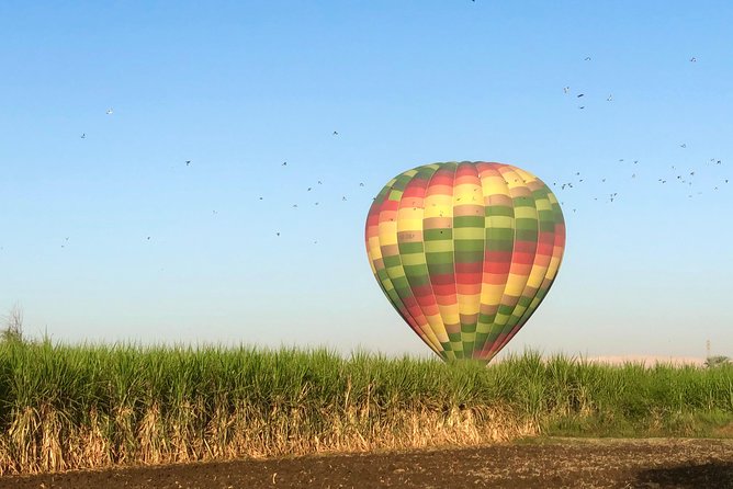 Hot Air Balloon Ride in Luxor Egypt with Transfers Included - Comfort Tips That Make the Morning Easier