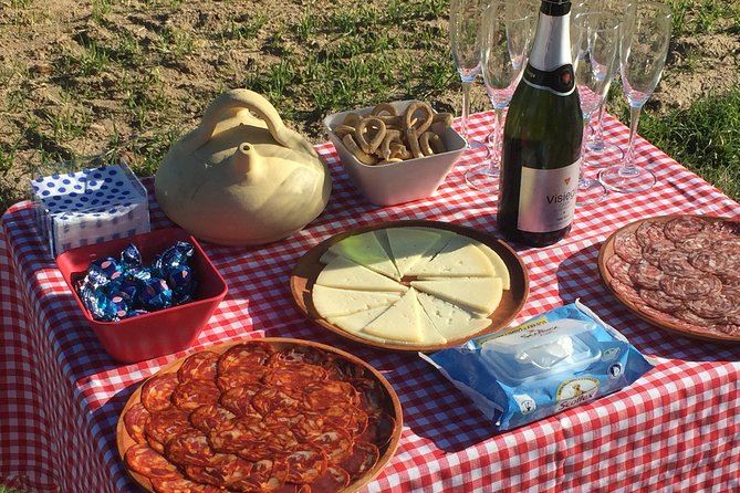 Hot Air Balloon Ride in Segovia with Toast, Picnic and Video - Lift-off near the Cathedral and Alcázar: the first minutes matter