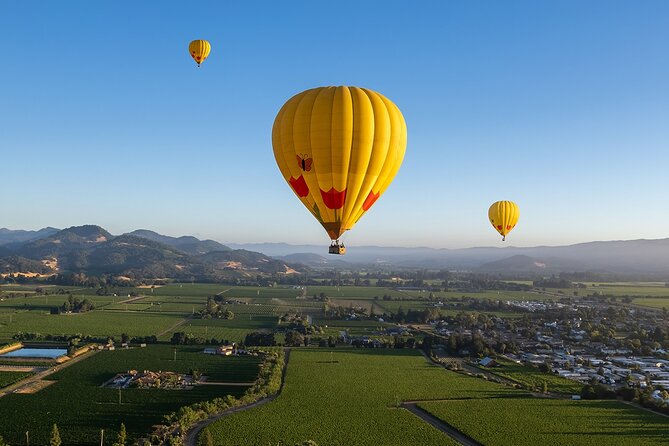 Hot Air Balloon Rides in Napa Valley - Pre-Flight Coffee and Pastries: The Wait Part Doesn’t Feel Like Wasted Time