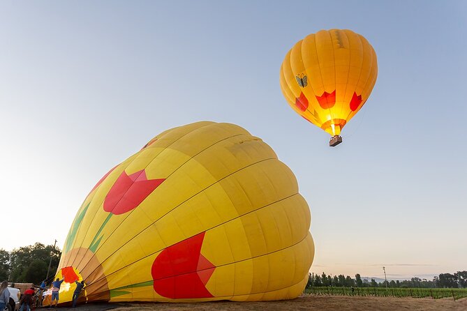 Hot Air Balloon Rides in Napa Valley - Check-In in Yountville, Then a Short Trip to the Launch Site