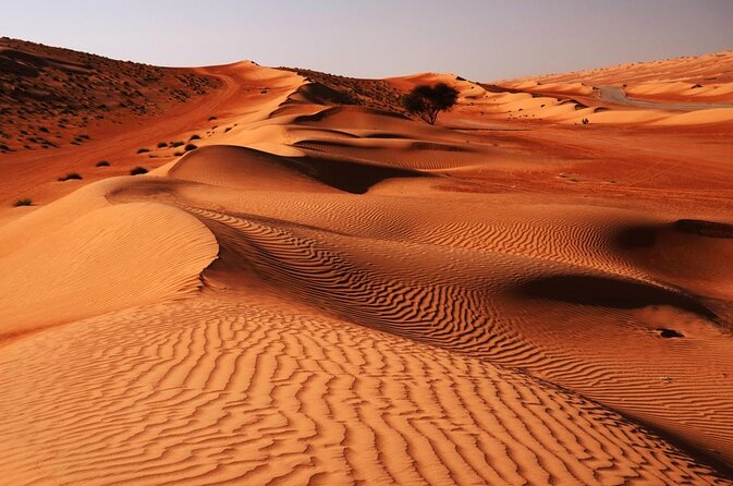 Hot Air Balloon Tour at Wahiba Sands - Key highlights
