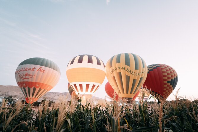 Luxury Balloon Ride in Luxor with Hotels Pickup - Price and Value: Is $39.90 Actually Worth It?