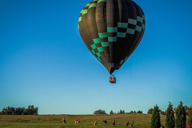 Midweek Hot Air Balloon Flight at Hunter Valley - Hunter Valley from above: what you’re actually paying for