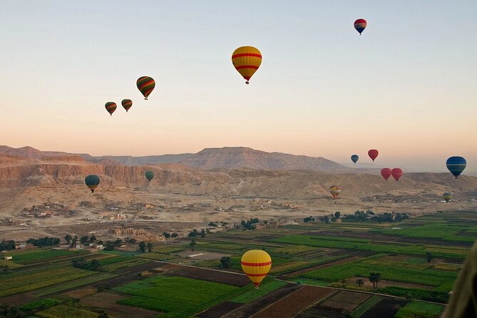 Private Luxor Overnight with Hot Air Balloon from Hurghada - Karnak Temple: where the guide earns their keep