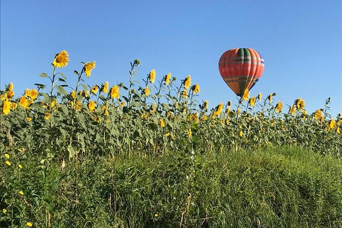 Professional hot air balloon rides at Assisi, Trasimeno in Umbria - Breakfast and Sagrantino at Cantina Dionigi: The Local Finish That Works