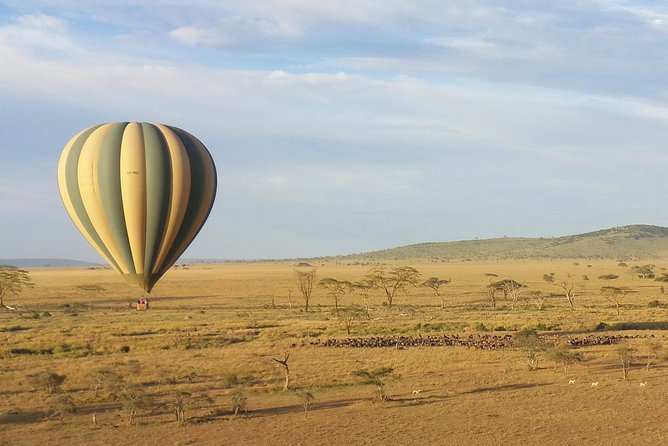 Serengeti Balloon Safari and authentic bush breakfast - The 5:00am start: how the morning actually moves