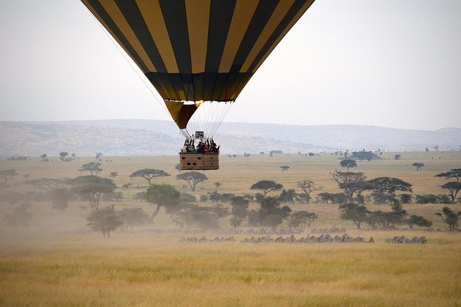 Serengeti Balloon Safari and authentic bush breakfast - In the basket at sunrise: what you should expect to see