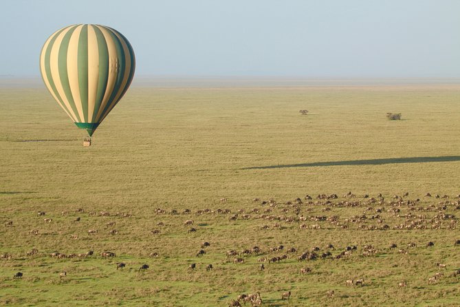 Serengeti Balloon Safari and authentic bush breakfast - Price and value: is $550 reasonable for what you get?