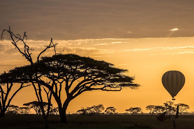 Serengeti Balloon Safari and authentic bush breakfast - Launch zones across Serengeti: Kogatende, Ndutu, Seronera, and Grumeti/Kiwarira