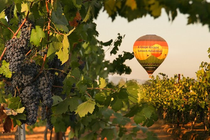 Sunrise Hot Air Balloon Flight over the Temecula Wine Country - Key things that make this balloon morning work