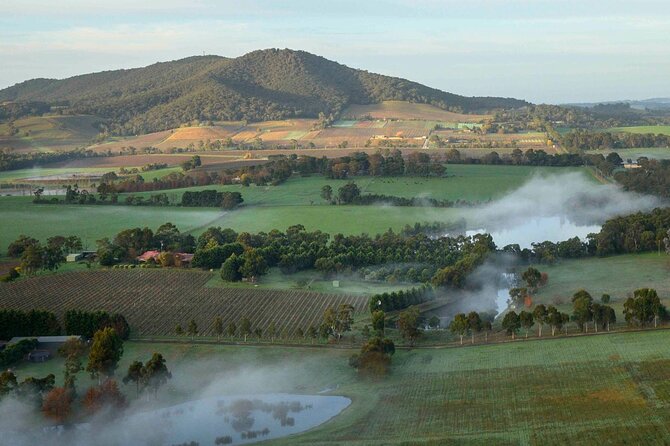Sunrise Hot Air Balloon Flight over Yarra Valley + Breakfast - The landing: calm, controlled, and surprisingly fun