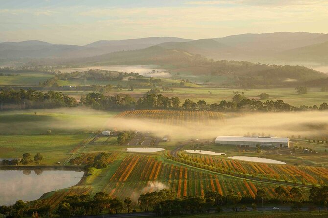 Sunrise Hot Air Balloon Flight over Yarra Valley + Breakfast - Logistics that can change your morning (so plan smart)