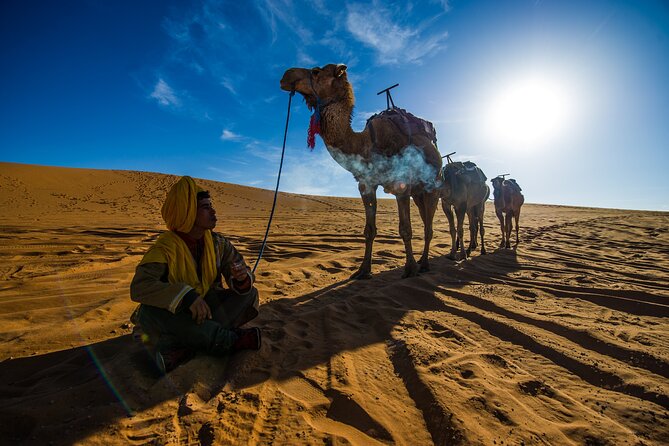 Sunrise Hot Air Balloon Ride Over Marrakech with Hotel Pickup - Sunrise Over Marrakech: what that 40–60 minute balloon ride is really like
