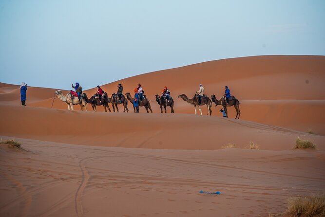 Sunrise Hot Air Balloon Ride Over Marrakech with Hotel Pickup - Day 3: Ouarzazate and the Draa Valley road back to Marrakech