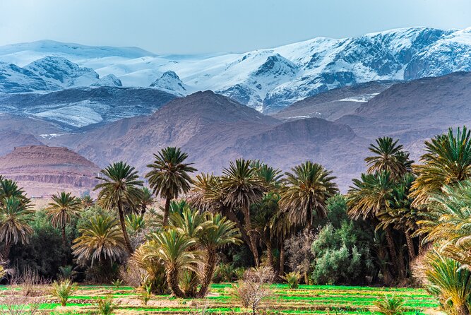 Sunrise Hot Air Balloon Ride Over Marrakech with Hotel Pickup - Price and value: is $164.92 a fair deal for three days?