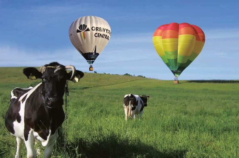 Vilnius or Trakai: Hot Air Balloon Flight - Pickup points and transfers: how to make this easy from Vilnius