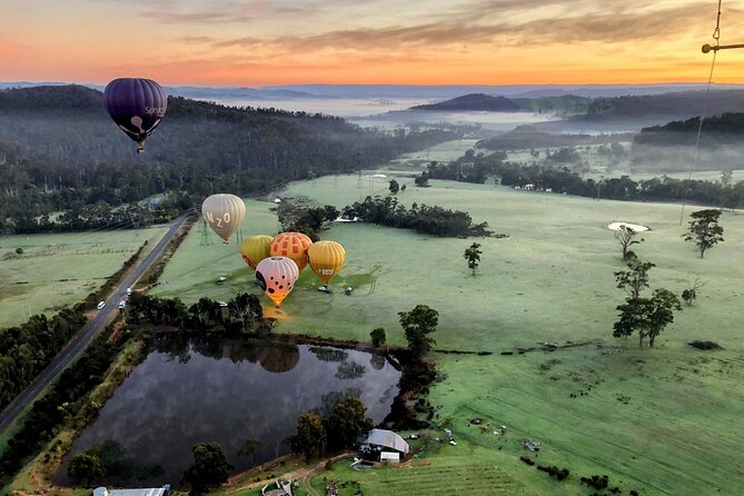 Yarra Valley Balloon Flight + Breakfast & Melbourne Pickup - Continental breakfast at Rochford Wines: good fuel, simple style