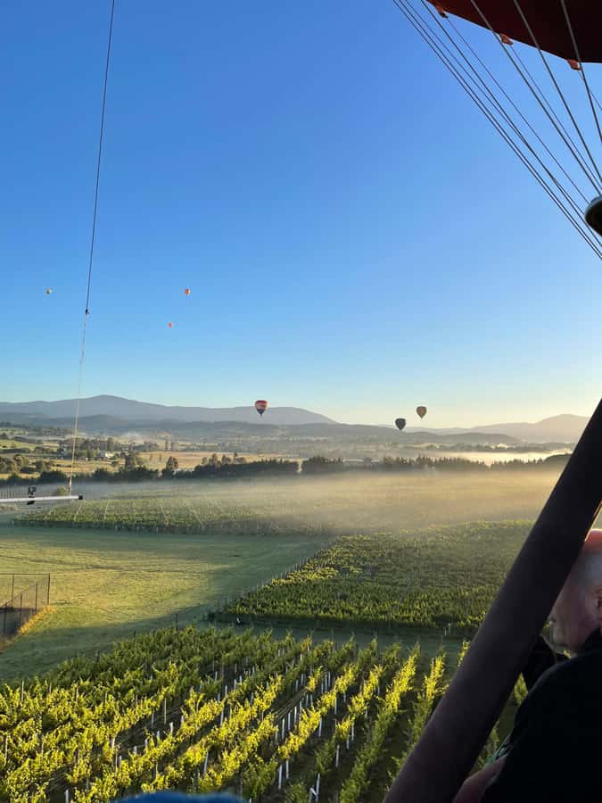 Yarra Valley : Hot Air Ballooning - Who This Yarra Valley Balloon Ride Fits Best