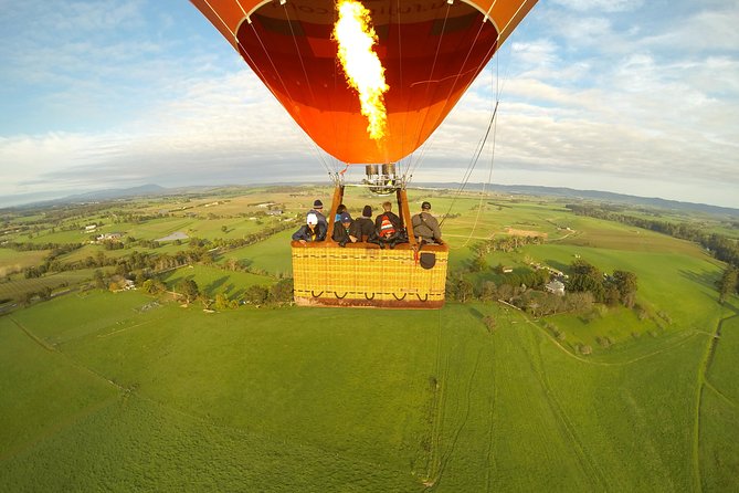 Yarra Valley sunrise balloon flight & champagne breakfast - Price and Value: Is $336.39 Worth It?