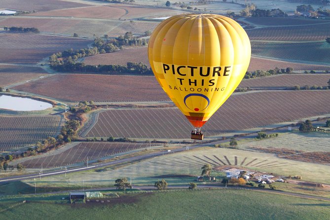 Yarra Valley sunrise balloon flight only - Key things that make this balloon flight click