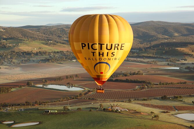 Yarra Valley sunrise balloon flight only - The wrap-up and landing moment: the part you should prepare for